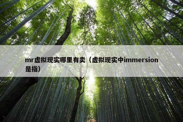 mr虚拟现实哪里有卖（虚拟现实中immersion是指）