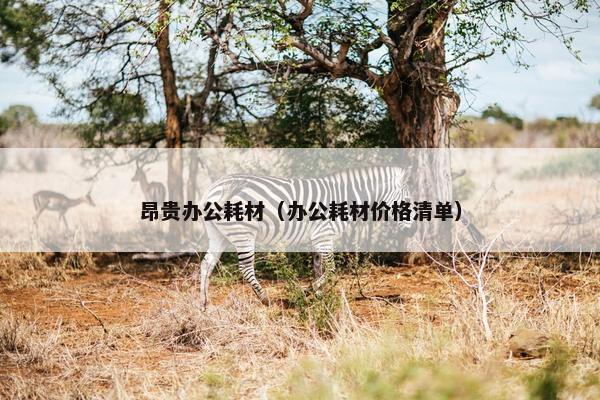 昂贵办公耗材（办公耗材价格清单）