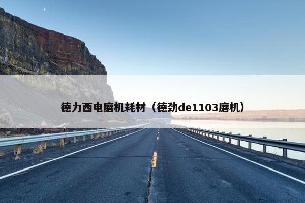 德力西电磨机耗材（德劲de1103磨机）