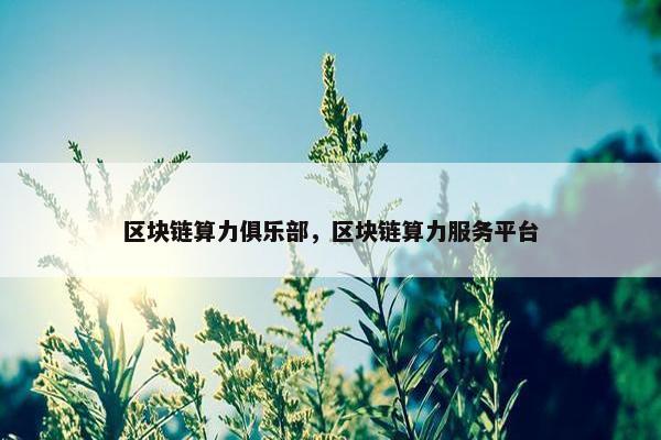 区块链算力俱乐部，区块链算力服务平台