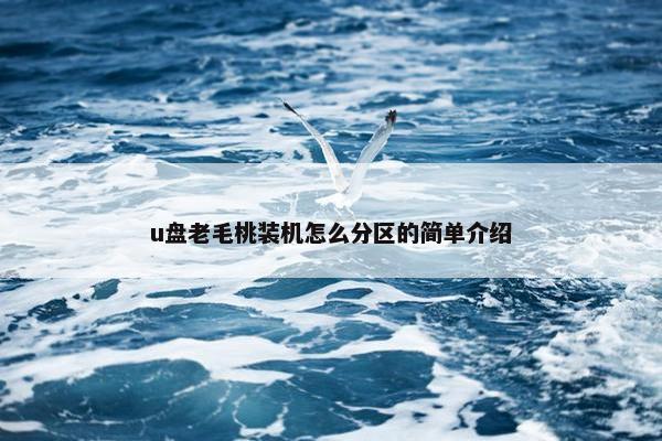 u盘老毛桃装机怎么分区的简单介绍