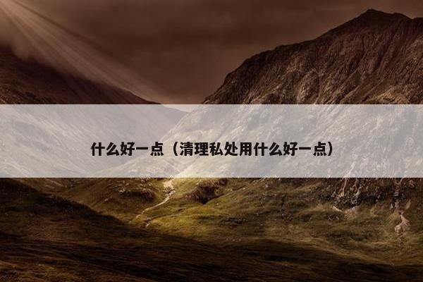 什么好一点（清理私处用什么好一点）