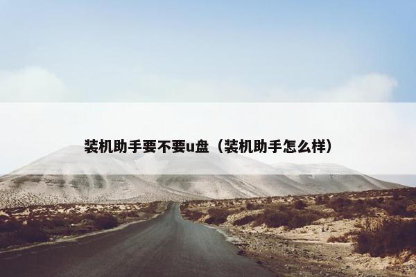 装机助手要不要u盘（装机助手怎么样）