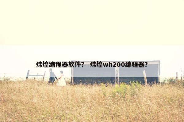 炜煌编程器软件？ 炜煌wh200编程器？