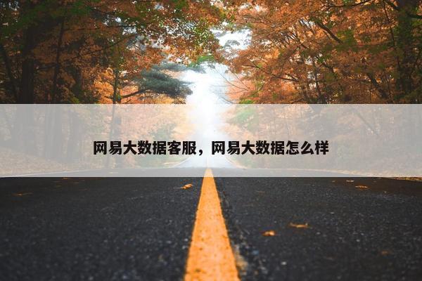网易大数据客服，网易大数据怎么样