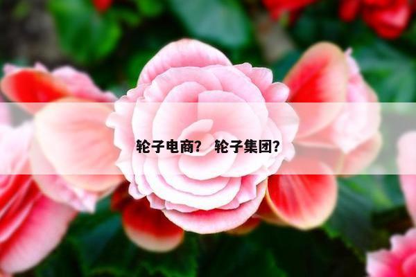 轮子电商？ 轮子集团？