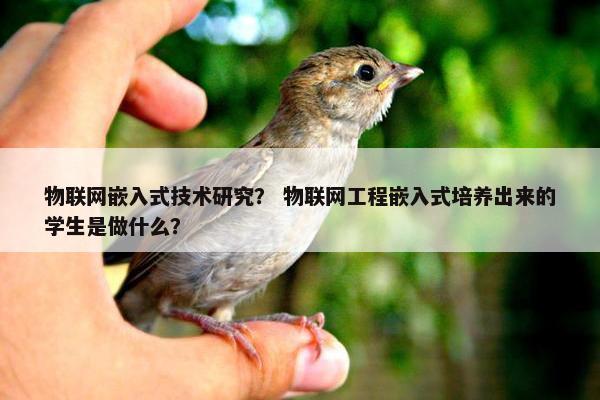 物联网嵌入式技术研究？ 物联网工程嵌入式培养出来的学生是做什么？