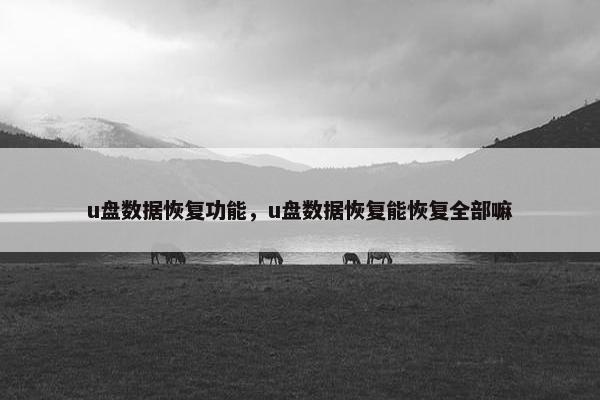 u盘数据恢复功能，u盘数据恢复能恢复全部嘛