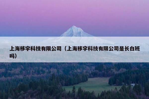 上海移宇科技有限公司（上海移宇科技有限公司是长白班吗）