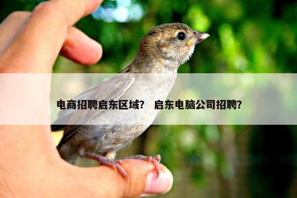 电商招聘启东区域？ 启东电脑公司招聘？