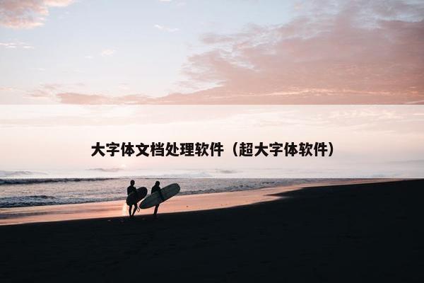 大字体文档处理软件（超大字体软件）