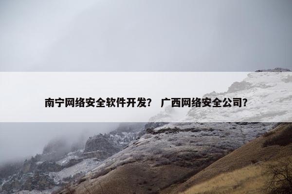 南宁网络安全软件开发？ 广西网络安全公司？