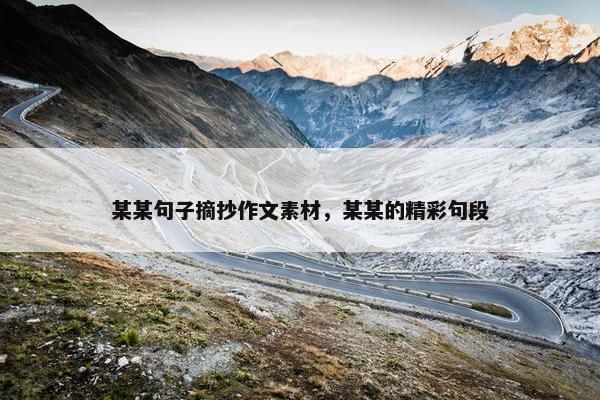 某某句子摘抄作文素材，某某的精彩句段