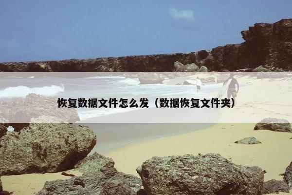 恢复数据文件怎么发（数据恢复文件夹）