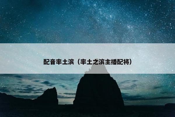 配音率土滨（率土之滨主播配将）