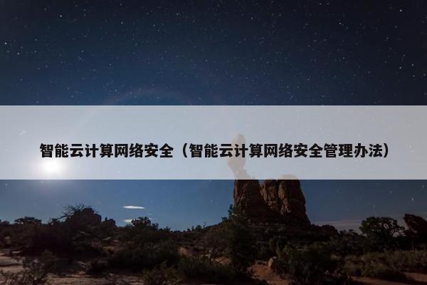 智能云计算网络安全（智能云计算网络安全管理办法）