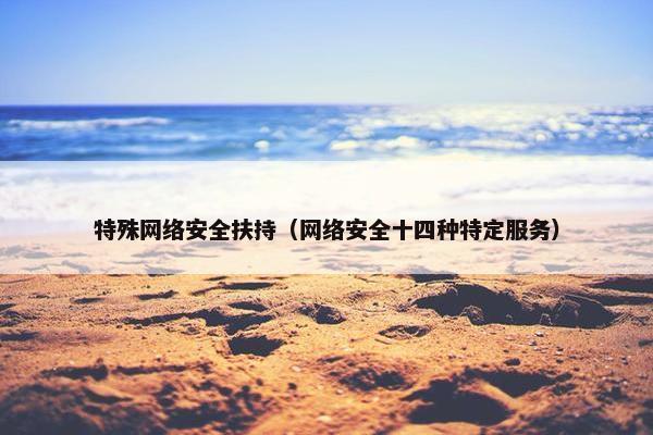 特殊网络安全扶持（网络安全十四种特定服务）