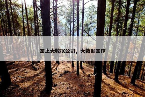 掌上大数据公司，大数据掌控