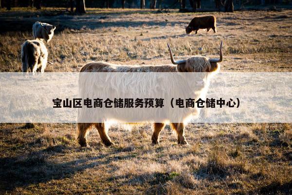 宝山区电商仓储服务预算（电商仓储中心）