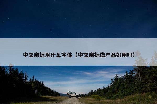 中文商标用什么字体（中文商标做产品好用吗）