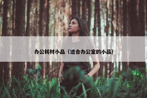 办公耗材小品（适合办公室的小品）