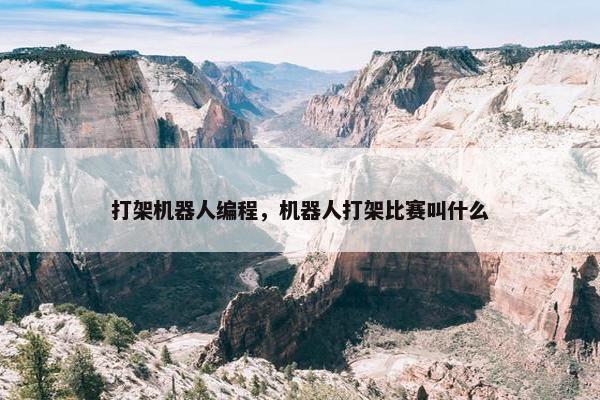 打架机器人编程，机器人打架比赛叫什么