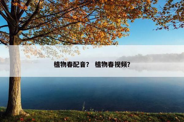 植物春配音？ 植物春视频？