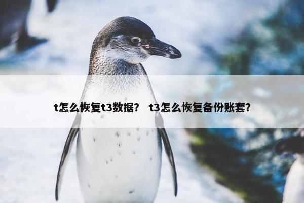 t怎么恢复t3数据？ t3怎么恢复备份账套？