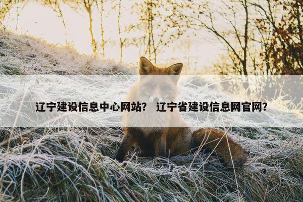 辽宁建设信息中心网站？ 辽宁省建设信息网官网？