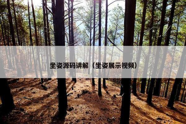 坐姿源码讲解（坐姿展示视频）