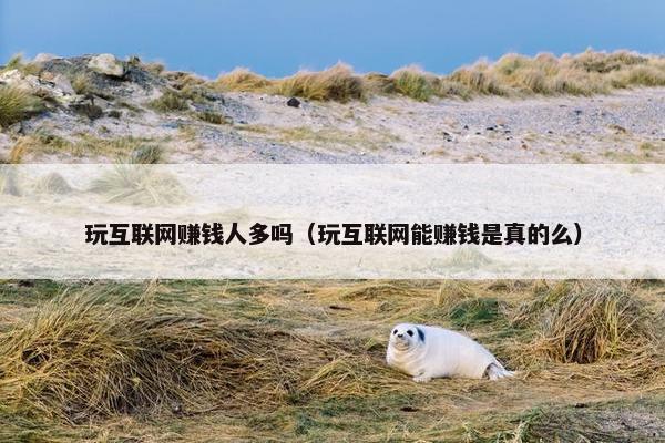 玩互联网赚钱人多吗（玩互联网能赚钱是真的么）