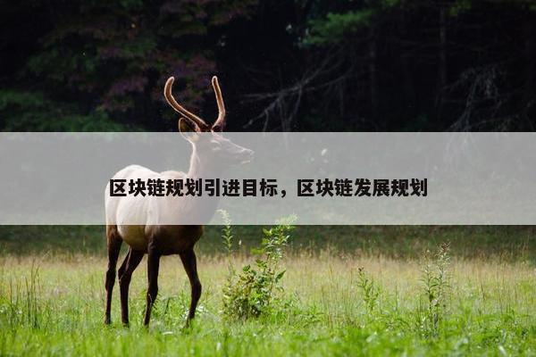 区块链规划引进目标，区块链发展规划