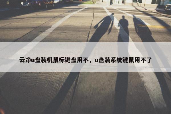 云净u盘装机鼠标键盘用不，u盘装系统键鼠用不了
