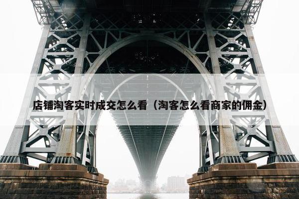 店铺淘客实时成交怎么看（淘客怎么看商家的佣金）