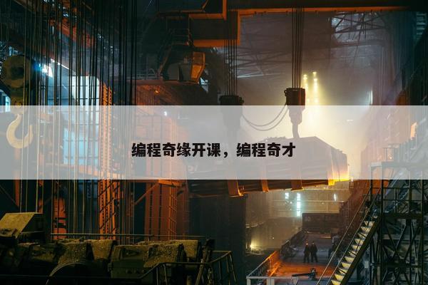 编程奇缘开课，编程奇才