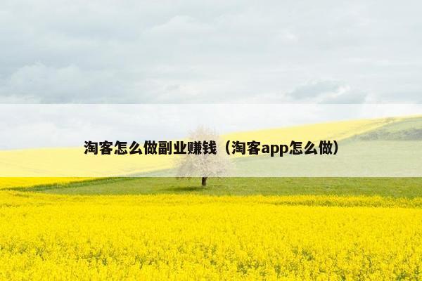 淘客怎么做副业赚钱（淘客app怎么做）