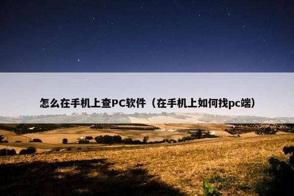 怎么在手机上查PC软件（在手机上如何找pc端）