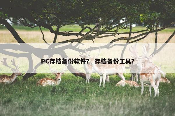 PC存档备份软件？ 存档备份工具？