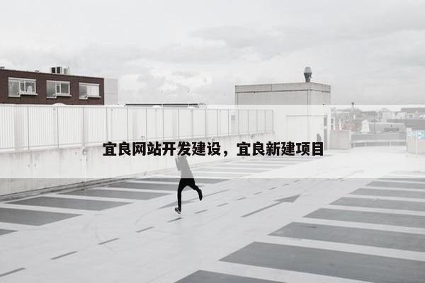 宜良网站开发建设，宜良新建项目