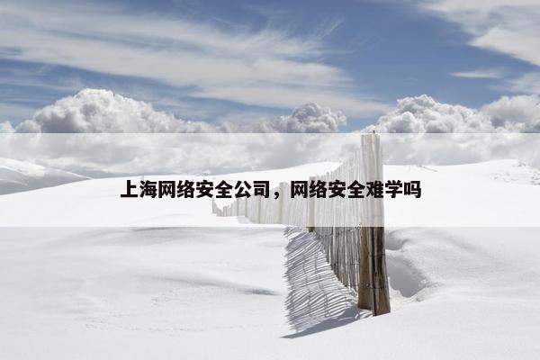 上海网络安全公司，网络安全难学吗