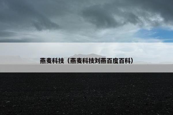燕麦科技（燕麦科技刘燕百度百科）
