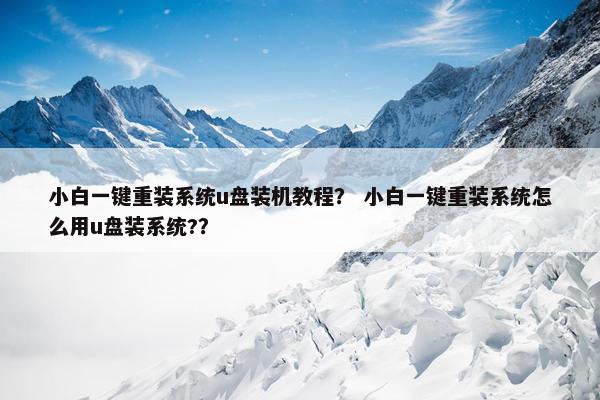 小白一键重装系统u盘装机教程？ 小白一键重装系统怎么用u盘装系统?？