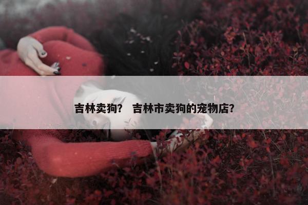 吉林卖狗？ 吉林市卖狗的宠物店？