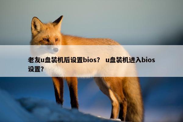 老友u盘装机后设置bios？ u盘装机进入bios设置？