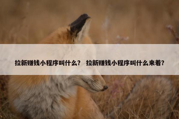 拉新赚钱小程序叫什么？ 拉新赚钱小程序叫什么来着？