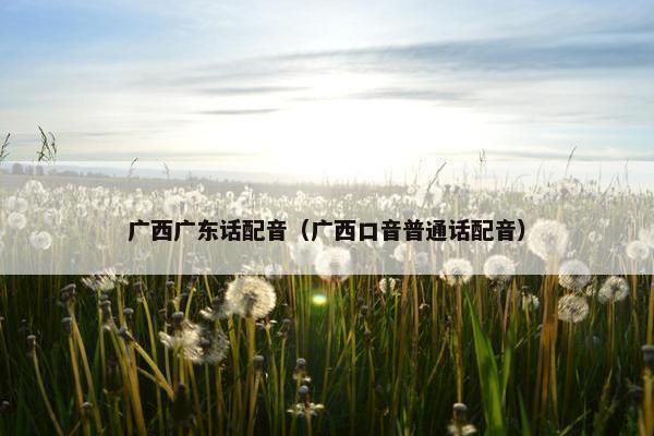 广西广东话配音（广西口音普通话配音）