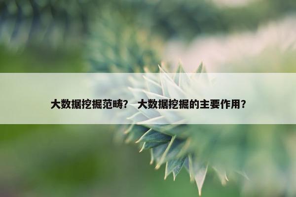大数据挖掘范畴？ 大数据挖掘的主要作用？