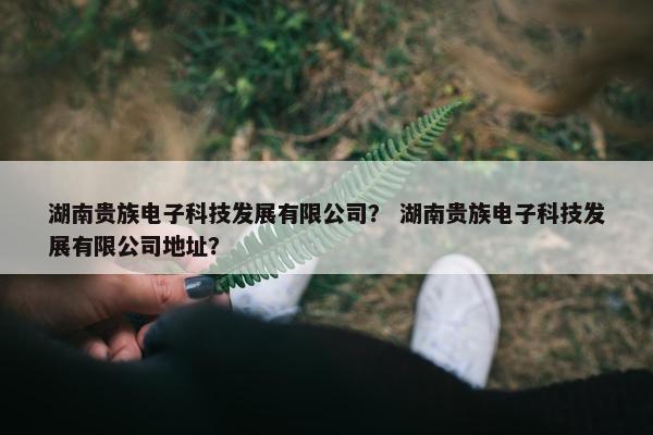 湖南贵族电子科技发展有限公司？ 湖南贵族电子科技发展有限公司地址？