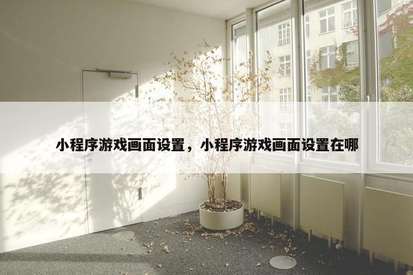 小程序游戏画面设置，小程序游戏画面设置在哪