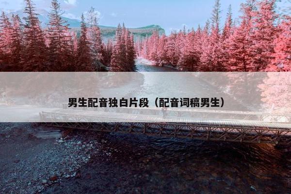 男生配音独白片段（配音词稿男生）